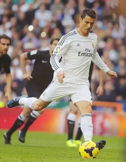 球迷的支持 球迷的支持