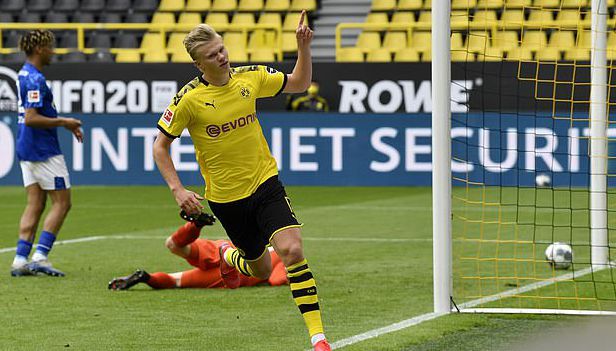 明亮的明星 明亮的明星