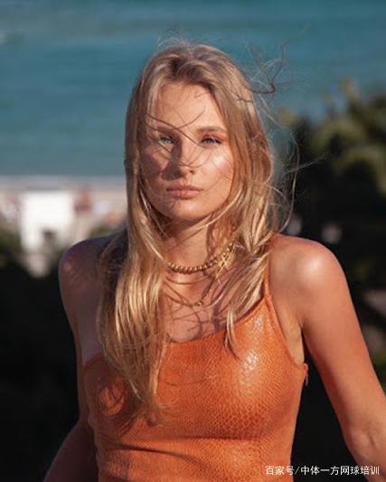 藏与历史之 藏与历史之