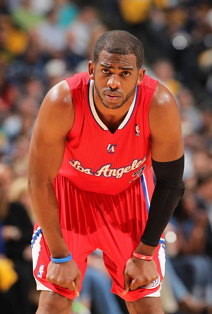 了众多关注 了众多关注