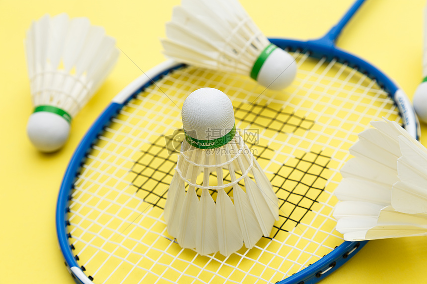 游泳的潜力 游泳的潜力